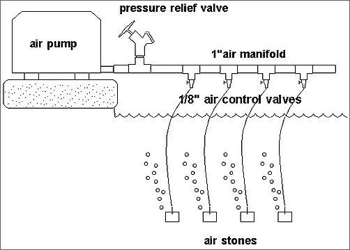 Pressure Relief Valve